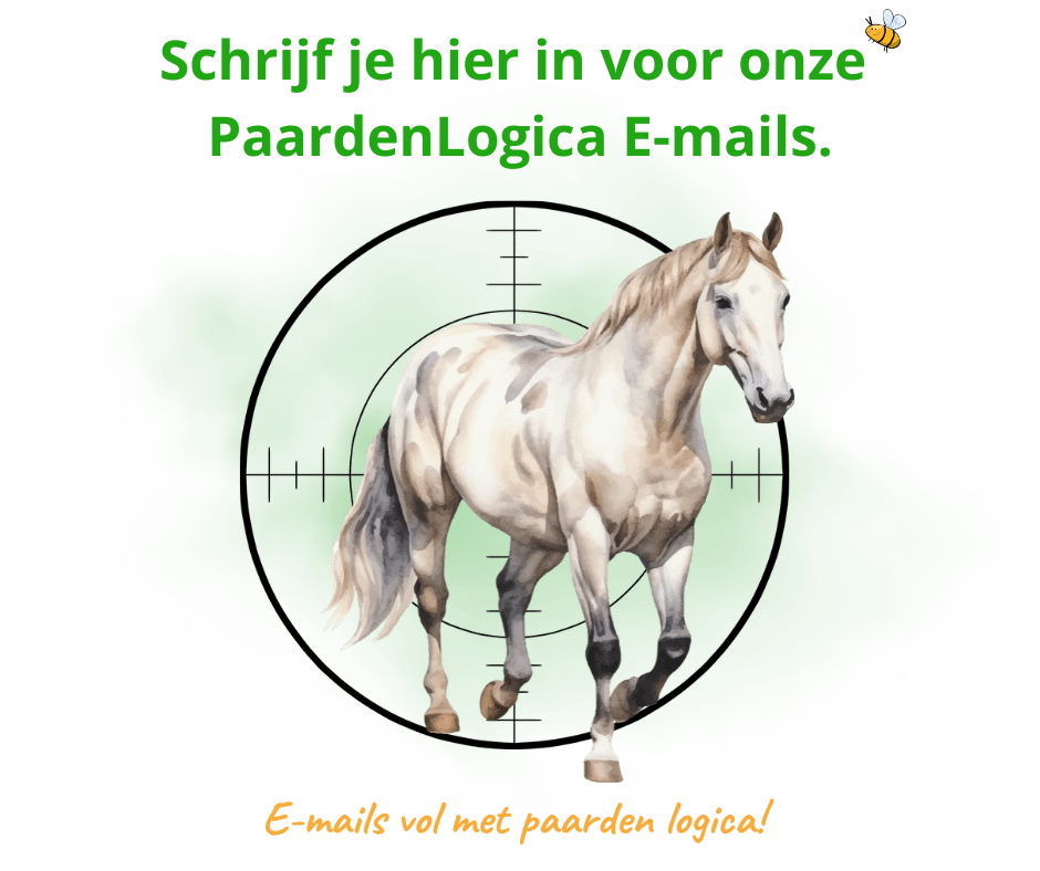 Nieuwsbrief pagina Eqinful