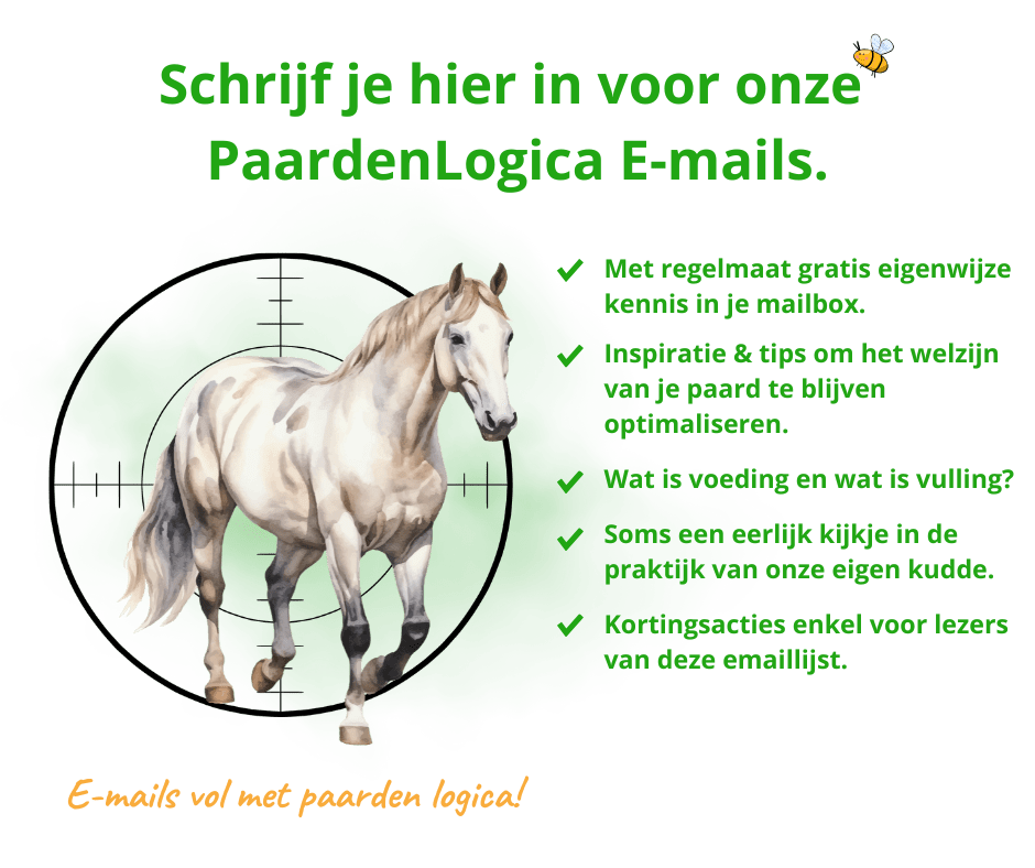 Nieuwsbrief pagina Eqinful