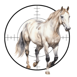 Focus adviestraject op maat