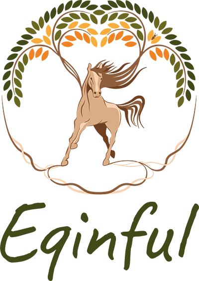 Eqinful logo met tekst