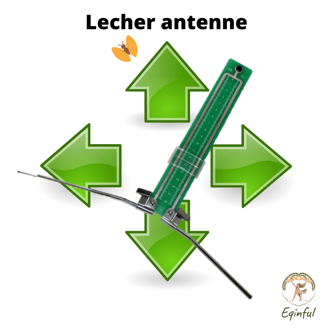 Meting lecher antenne paard Eqinful
